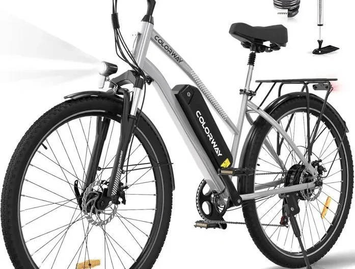 COLORWAY Vélo Électrique 28" VAE - E-BIKE VTT Batterie amovible 36V 15Ah - Moteur 250W - Shimano 7 Vitesses - Argent