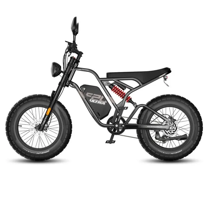 FAFREES F20 Ultra Vélo Électrique - Moteur 750W Batterie 48V25AH Freins Hydrauliques - Noir – Image 3