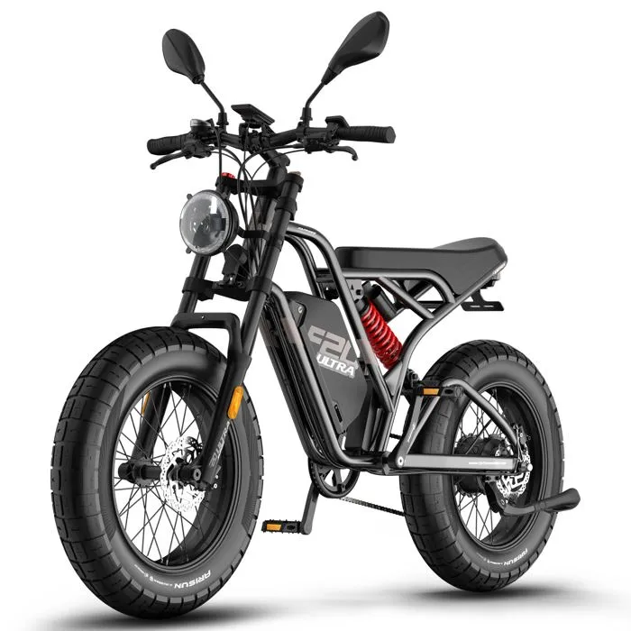 FAFREES F20 Ultra Vélo Électrique - Moteur 750W Batterie 48V25AH Freins Hydrauliques - Noir