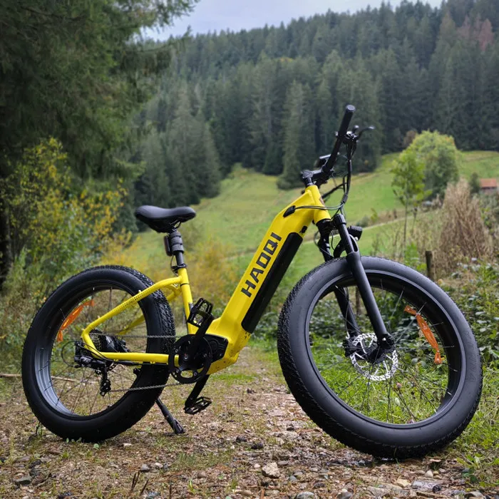HAOQl Eagle step Thru 2.0 - Vélo électrique 26'' - Moteur 250W - Batterie 48V20Ah - SHIMANO 7 Vitesses - VTT fat bike,Jaune – Image 2