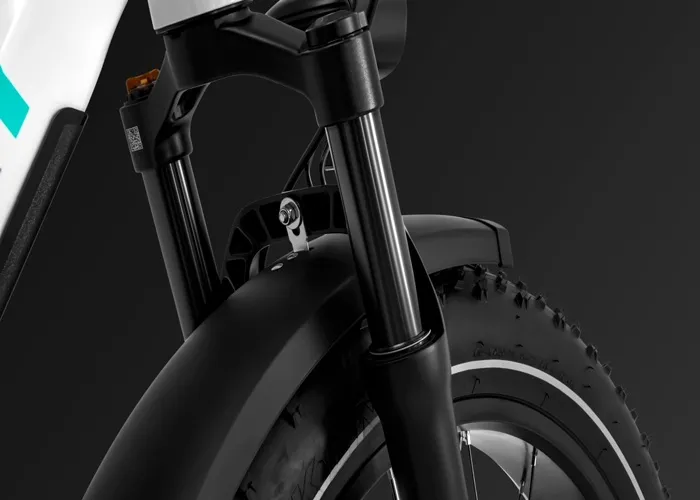 HIMIWAY D5 ST (ZEBRA ST) - Vélo Fatbike Électrique Tout-Terrain Haut de Gamme, Gris – Image 3