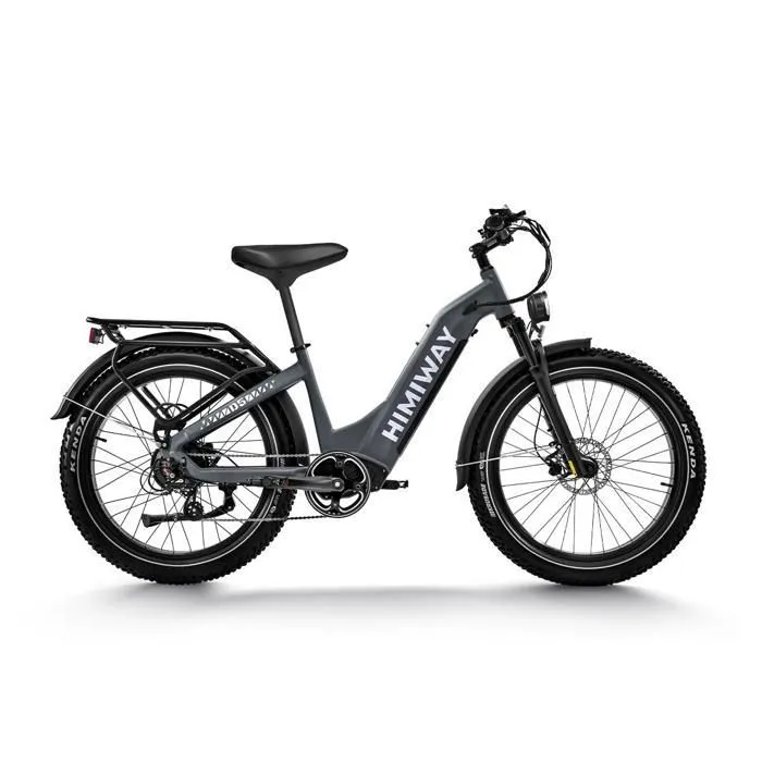 HIMIWAY D5 ST (ZEBRA ST) - Vélo Fatbike Électrique Tout-Terrain Haut de Gamme, Gris