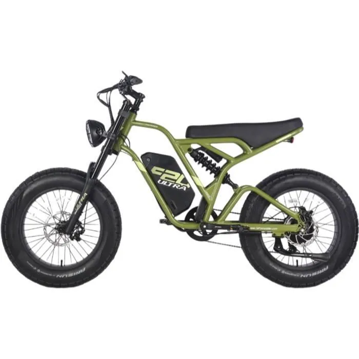 velo electrique Fafrees F20 Ultra Autonomie 100km Moteur 750W Doubles amortisseurs 20 pouces VTT Fat bike 48V25Ah Vert – Image 3