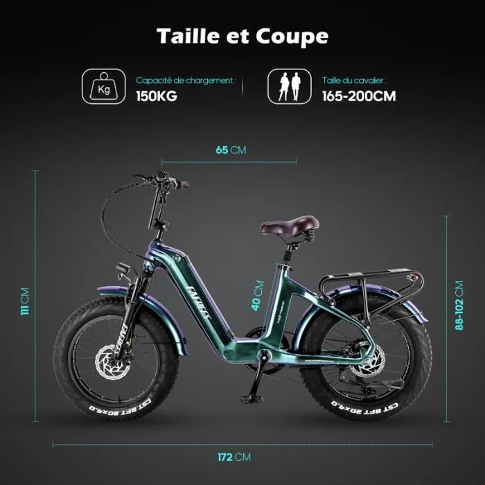 Vélo électrique Cadre en fibre de carbone FAFREES F20Master 500W 48V 22.5AH 45KM/H 20"*4.0 pneus tout terrain-vert – Image 4