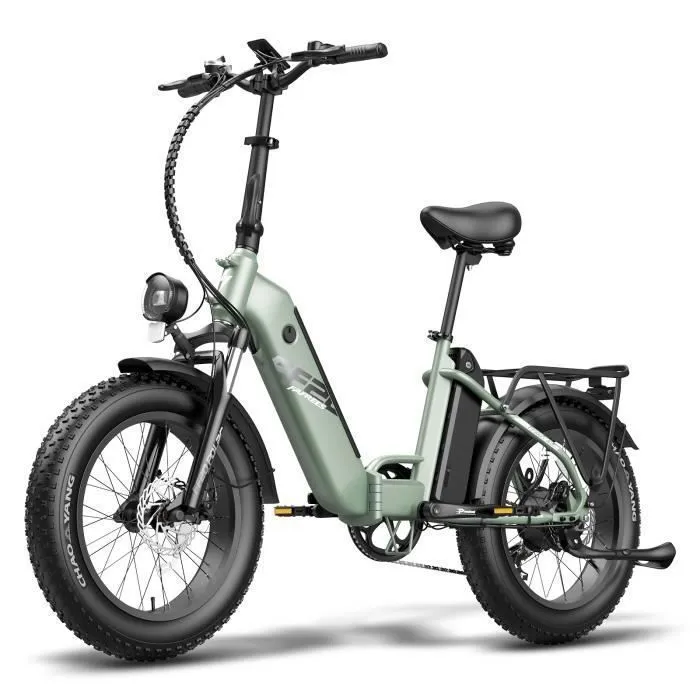velo electrique Pliable Fafrees FF20 Polar 20 pouces Autonomie 80km Amortisseur avant VTC Fat bike Batterie 48V20.8Ah Vert