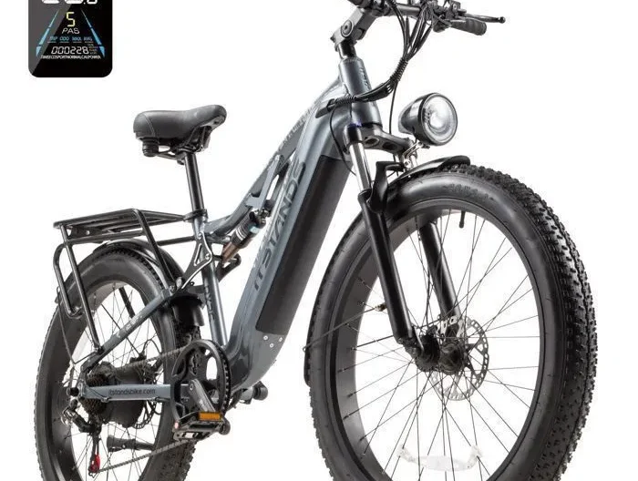 ITSTANDS RX26 Vélo Électrique 1000W,Batterie Amovible 48V 20AH,Autonomie 100KM,Vitesse 45KM/H,E-BIKE 26" pour Homme Femme