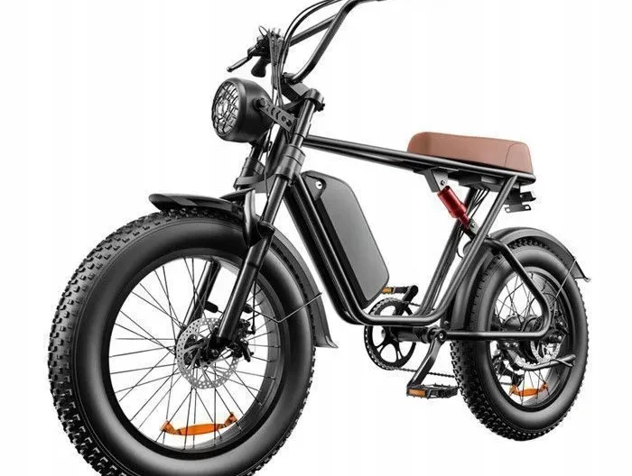 Vélo Électrique EMOKO C91 - Moteur 1000W -Vitesse maximale 50km/h Batterie Amovible 48V20Ah - 7 vitesse SHIMANO - Roue 20 VTT homme