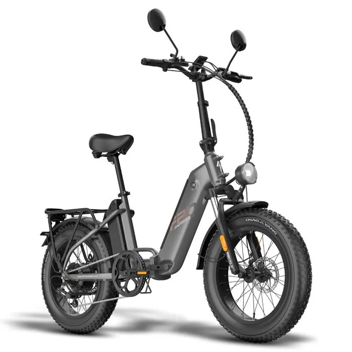 Vélo Électrique FAFREES FF20 Polar - Moteur 500W Batterie 48V24Ah Pneus De 20 Pouces Frein à Disque Mécanique - Gris – Image 2