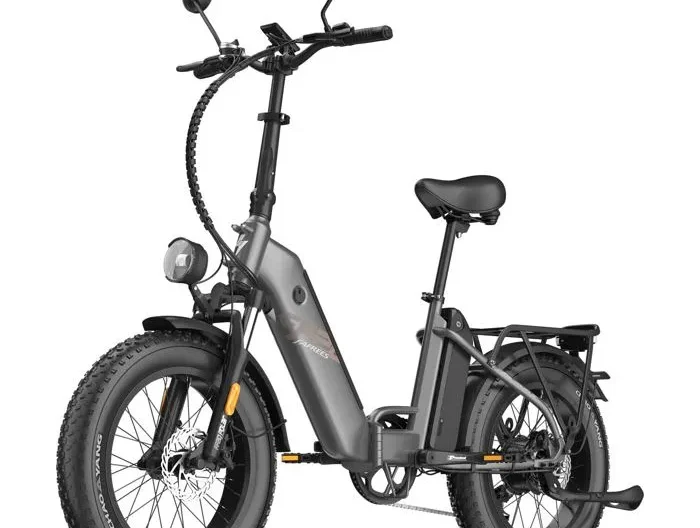 Vélo Électrique FAFREES FF20 Polar - Moteur 500W Batterie 48V24Ah Pneus De 20 Pouces Frein à Disque Mécanique - Gris