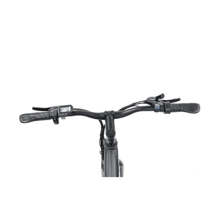Vélo électrique FREEGO E7 Euro Calibre, Moteur 250W, Batterie 36V7.8Ah, Pédales Assistées, Vélo de Transport Urbain Gris – Image 2