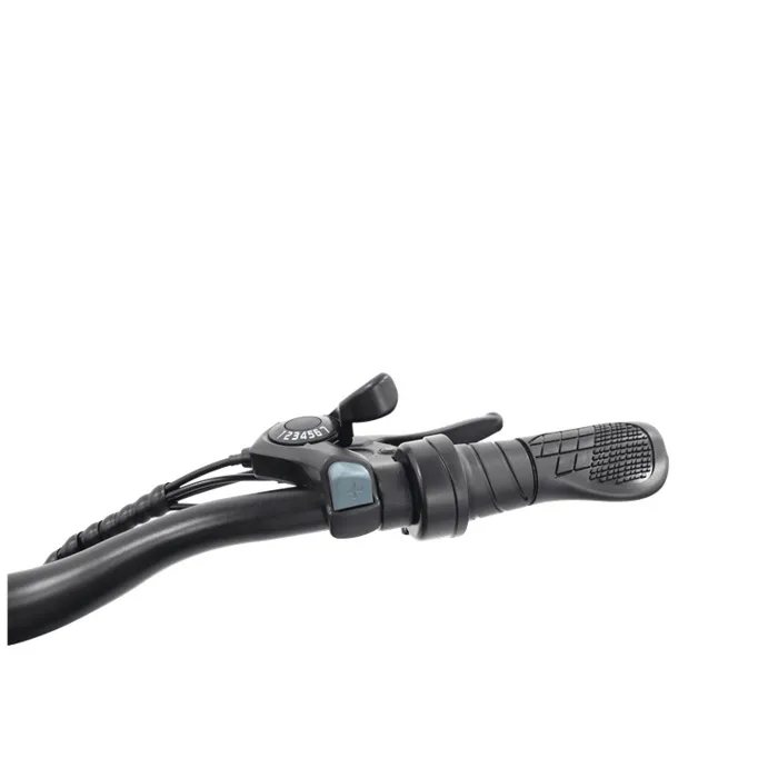 Vélo électrique FREEGO E7 Euro Calibre, Moteur 250W, Batterie 36V7.8Ah, Pédales Assistées, Vélo de Transport Urbain Gris – Image 3