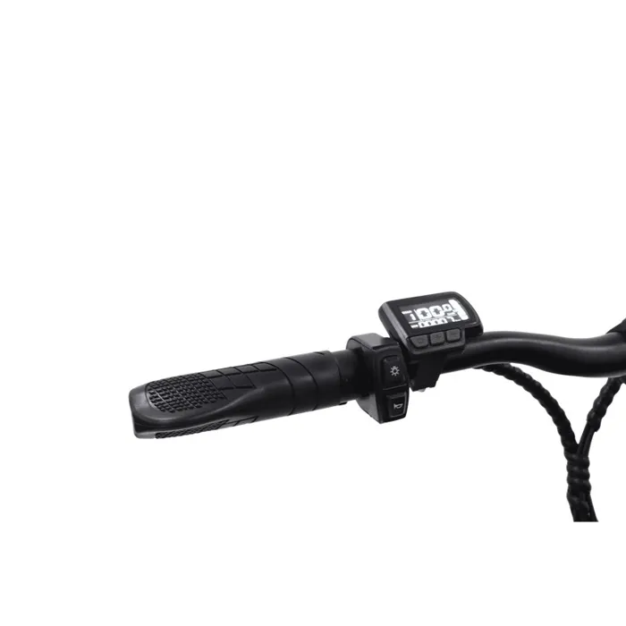 Vélo électrique FREEGO E7 Euro Calibre, Moteur 250W, Batterie 36V7.8Ah, Pédales Assistées, Vélo de Transport Urbain Gris – Image 4