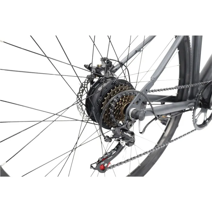 Vélo électrique FREEGO E7 Euro Calibre, Moteur 250W, Batterie 36V7.8Ah, Pédales Assistées, Vélo de Transport Urbain Gris – Image 5