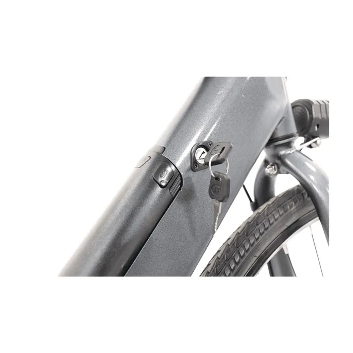 Vélo électrique FREEGO E7 Euro Calibre, Moteur 250W, Batterie 36V7.8Ah, Pédales Assistées, Vélo de Transport Urbain Gris – Image 6