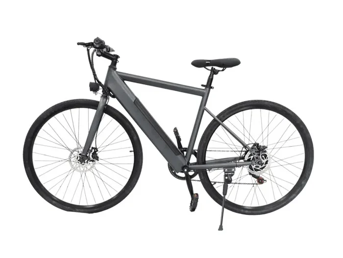 Vélo électrique FREEGO E7 Euro Calibre, Moteur 250W, Batterie 36V7.8Ah, Pédales Assistées, Vélo de Transport Urbain Gris