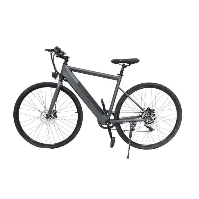 Vélo électrique FREEGO E7 Euro Calibre, Moteur 250W, Batterie 36V7.8Ah, Pédales Assistées, Vélo de Transport Urbain Gris