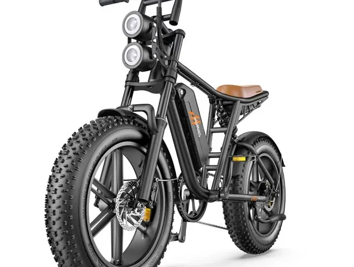 Vélo Électrique HillMiles MileZoom 1 - Moteur 750W Batterie 52V15.6AH Pneus De 20 Pouces Frein à Huile Hydraulique - Noir