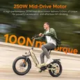 ENGWE L20 3.0 Pro - Vélo Électrique Pliable 20" - Batterie Amovible 48V15Ah - Autonomie 120km - Frein à disque hydraulique - Doré – Image 2