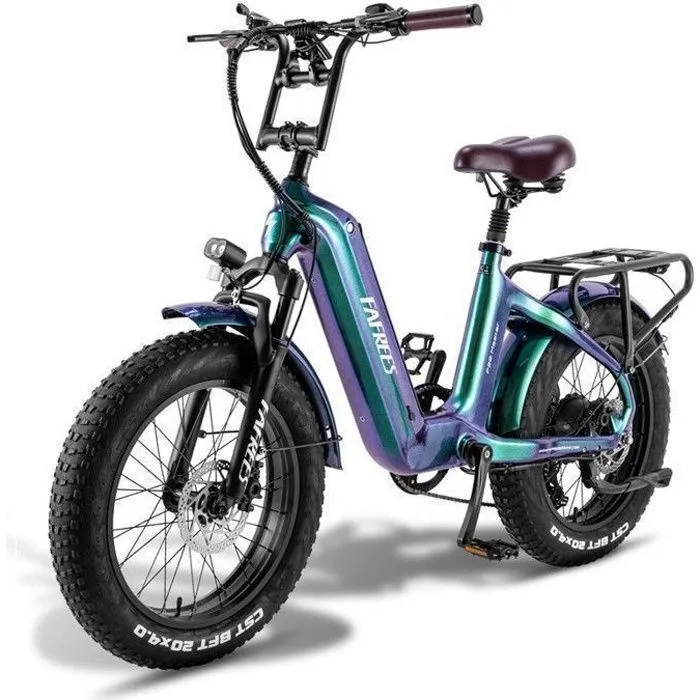 Vélo électrique 20“*4 Gros Pneus - FAFREES F20 Master Moteur 690W 48V/22.5Ah Samsung Batterie,Autonomie 160km,Shimano 7 vitesses