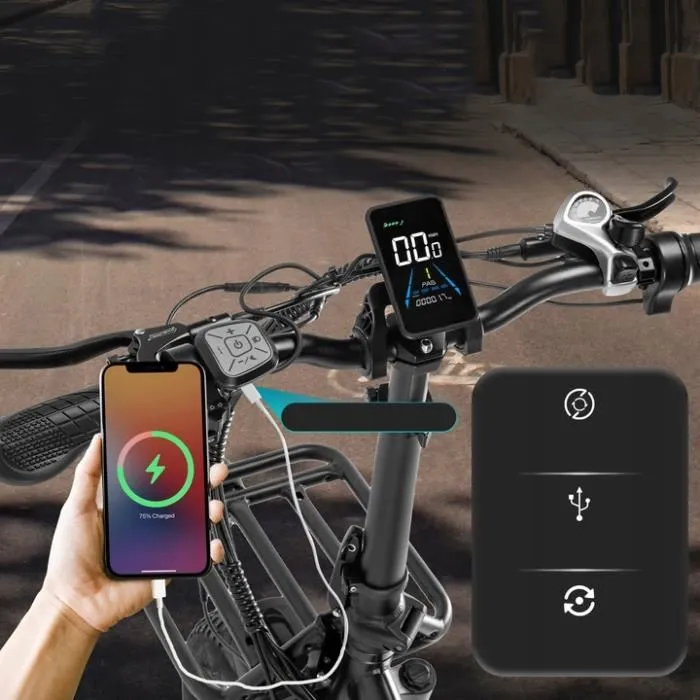 FAFREES F20 X Max vélo électrique 750W 30Ah 200KM batterie Samsung pour charger les téléphones portables GRIS – Image 3