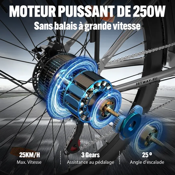 HITWAY Vélo électrique E-Bike 28 Pouces, Moteur 250W, Batterie 36V 13Ah, 7 Vitesses, Écran LCD - Argenté – Image 6