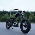 Moto électrique FT-02S 48 V 27 Ah avec moteur Bafang et gros pneus – Image 2