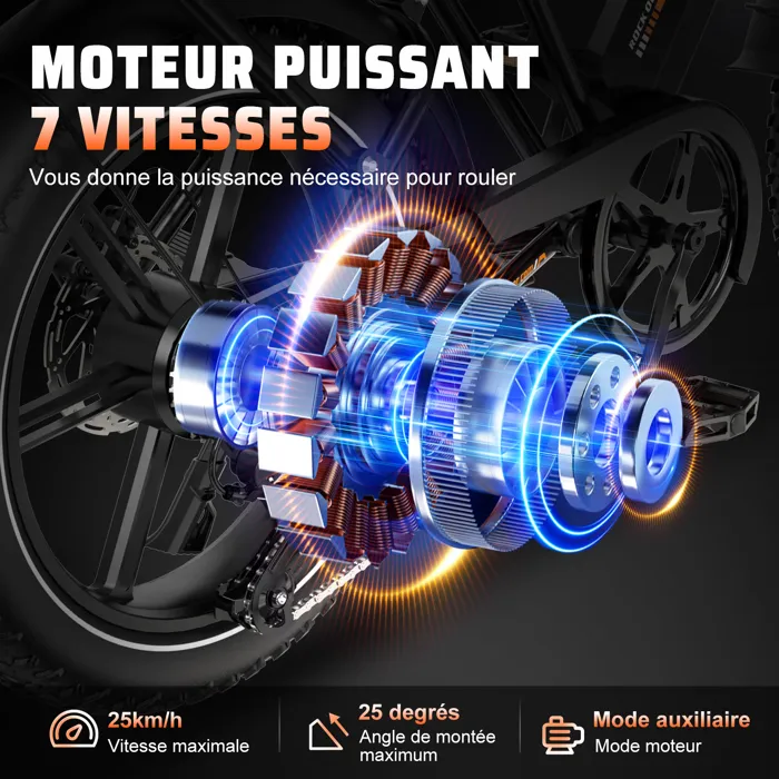 RCB Fatbike Vélo Électrique – Batterie 48V 20.8Ah, 90KM Autonomie, Pneus 20x4.0, Écran LCD, APP & NFC Noir – Image 4