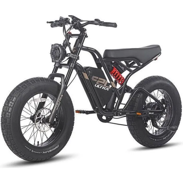 Vélo Électrique FAFREES F20 ULTRA - Motor 1200W - 48V/25Ah LG Batterie,Tout Terrain VTT Électrique 20*5.0" Fat Pneu, Autonomie