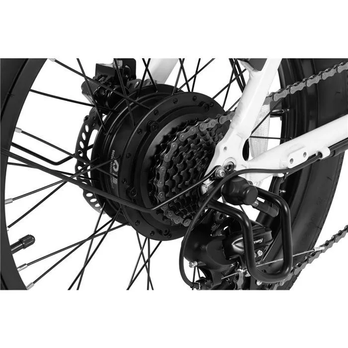 Vélo électrique DYU C9, Blanc, Vélo Pliant, Moteur 250W, Batterie 48v15.6ah, Frein à huile, Autonomie 150KM en mode PA – Image 5