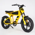 Vélo électrique MANGOSTEEN FT03, JAUNE, Avant et Arrière Anti-Choc Fat Pneu Vélo, 48V750W 4500MAH 45KM/H 15° – Image 7