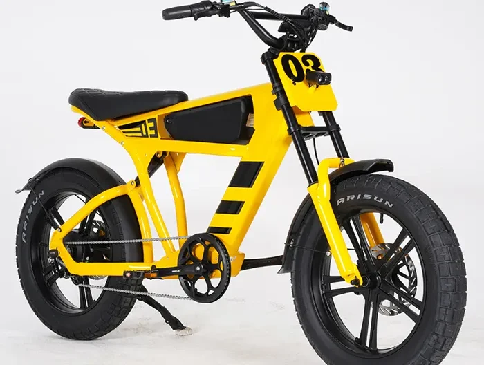 Vélo électrique MANGOSTEEN FT03, JAUNE, Avant et Arrière Anti-Choc Fat Pneu Vélo, 48V750W 4500MAH 45KM/H 15°