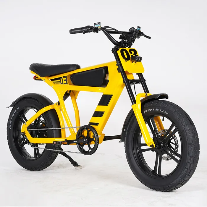 Vélo électrique MANGOSTEEN FT03, JAUNE, Avant et Arrière Anti-Choc Fat Pneu Vélo, 48V750W 4500MAH 45KM/H 15°
